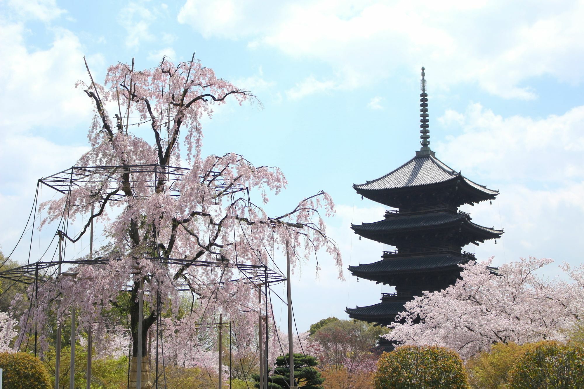 公寓 Sakura Toji South Ii 京都