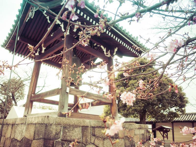 公寓 Sakura Toji South Ii 京都